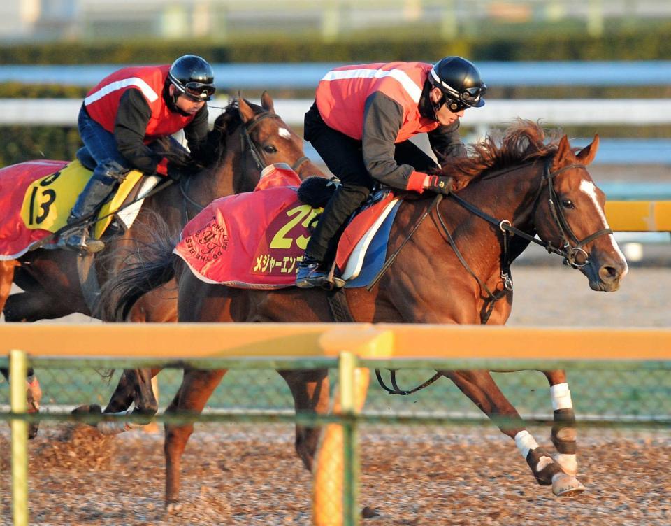 　美浦Ｗで軽快な動きを見せたメジャーエンブレム