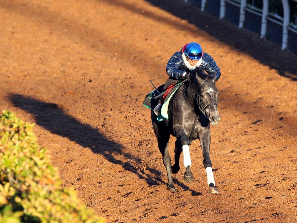 　岩田を背に栗東坂路で上々のフィニッシュを決めたブランボヌール