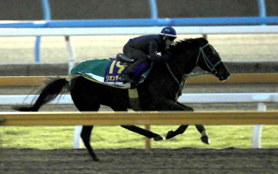 　栗東ＣＷでリオンディーズはパワフルな動きを披露した