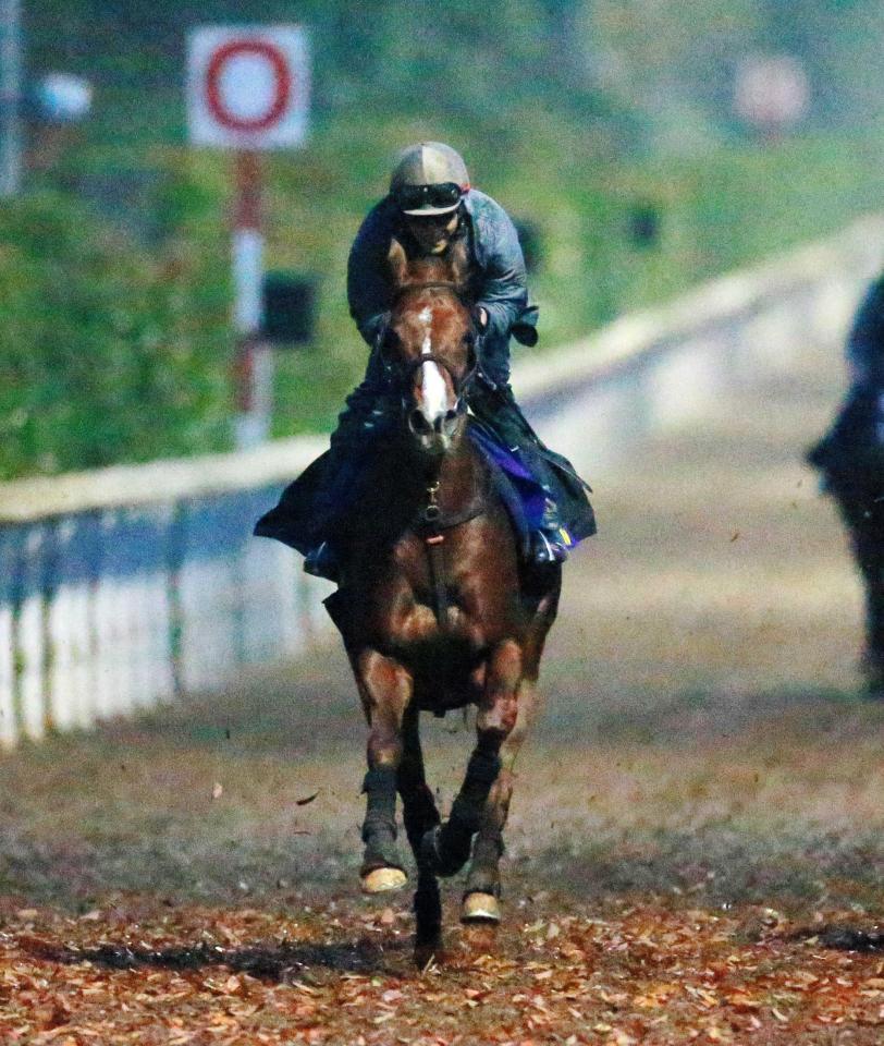 　エアスピネルは朝一番の坂路で文句なしの動きを見せた