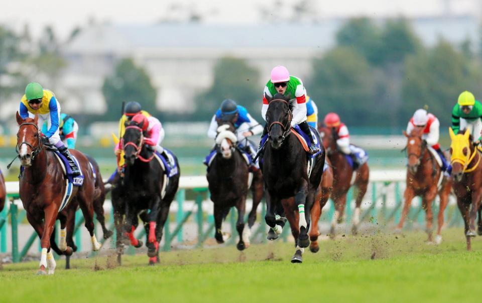 先に抜けたエアスピネル（左）を捉えたリオンディーズ（中央右）＝阪神競馬場（撮影・石湯恒介）