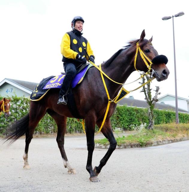 【有馬記念】ミルコ、サウンズＶへ導く