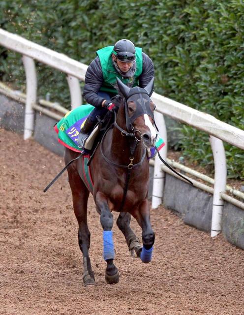 【栗東通信】内枠が欲しい有馬記念