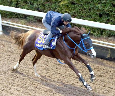 　鋭い伸びをみせたアドマイヤデウス
