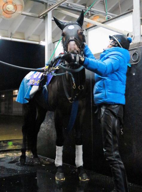 有馬記念 ラブリーには運がある 競馬 レース デイリースポーツ Online