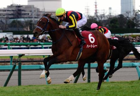 ホープフルＳを制したハートレー＝中山競馬場（撮影・三好信也）