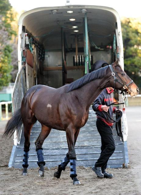 【有馬記念】ワンアンド生涯最高のデキ