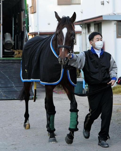 【有馬記念】ブラック名手に全権委任