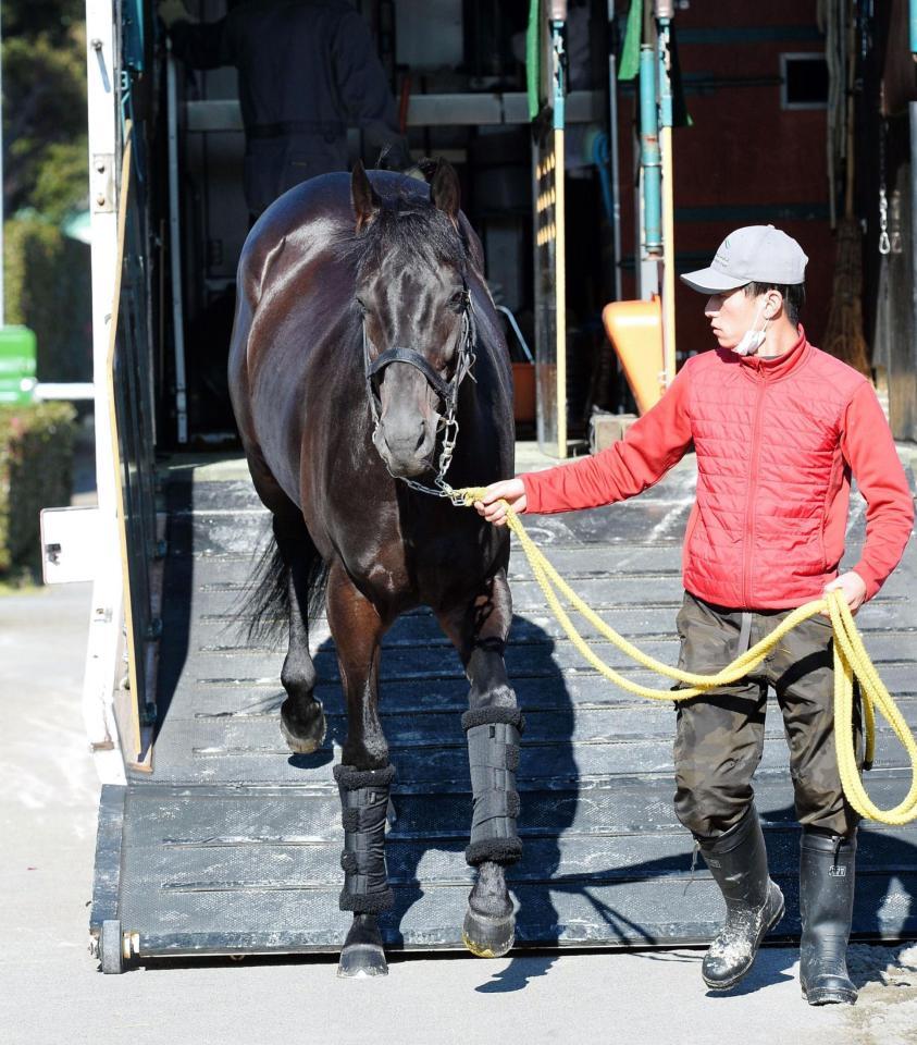 　中山競馬場に到着したラストインパクト