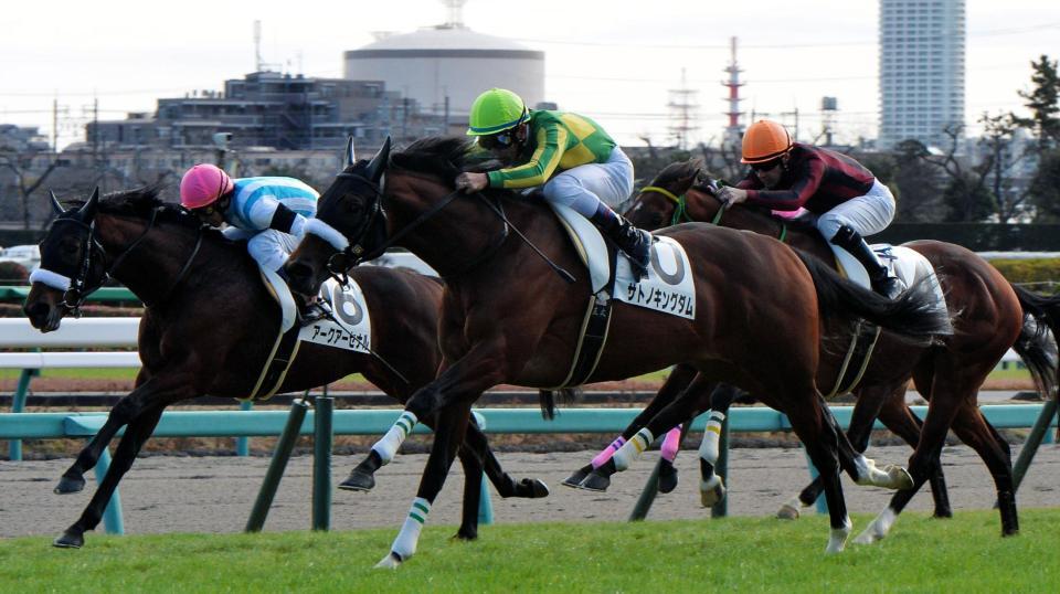 中山４Ｒ新馬戦を制したサトノキングダム＝中山競馬場（撮影・佐々木彰尚）