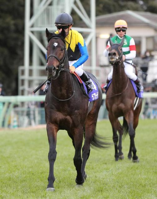 【有馬記念】ラブリー５着が精一杯