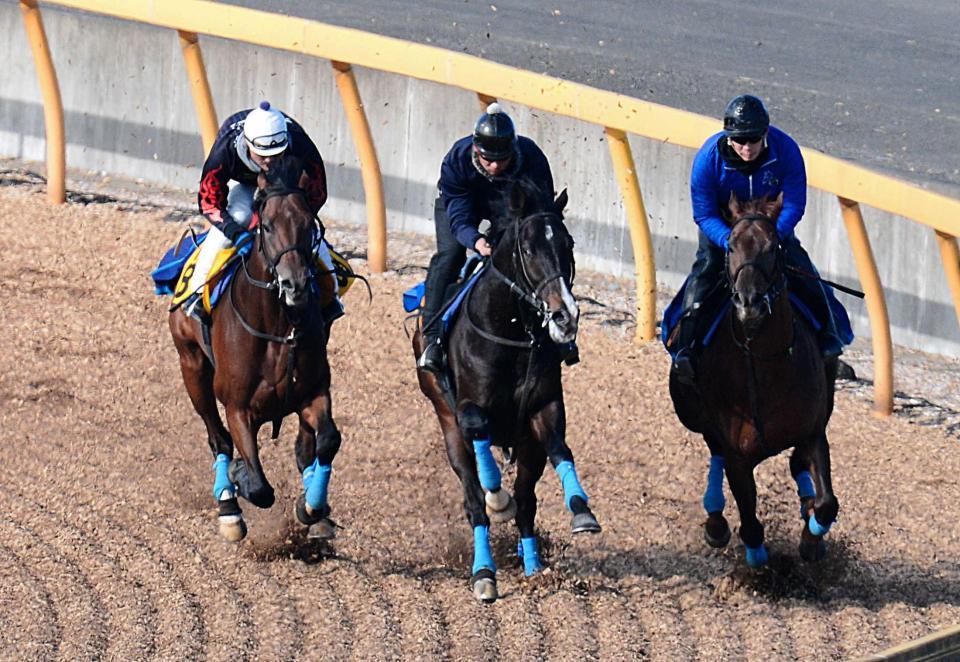　美浦Ｗで３頭併せを行ったブライトエンブレム（左）