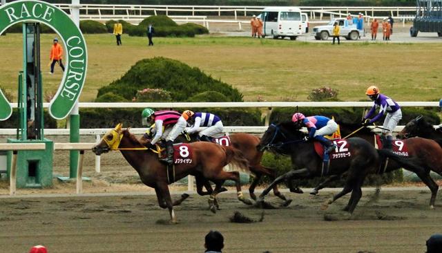 【園田ＪＣ】ノブタイザン初重賞Ｖ