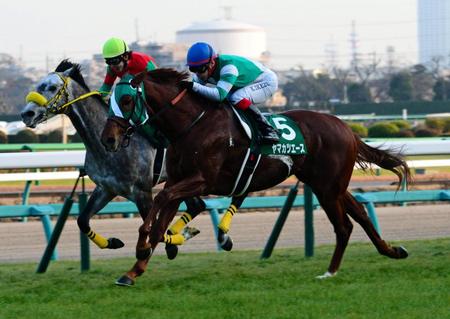 １１Ｒ、中山金杯を制したヤマカツエース（右）＝中山競馬場（撮影・三好信也）