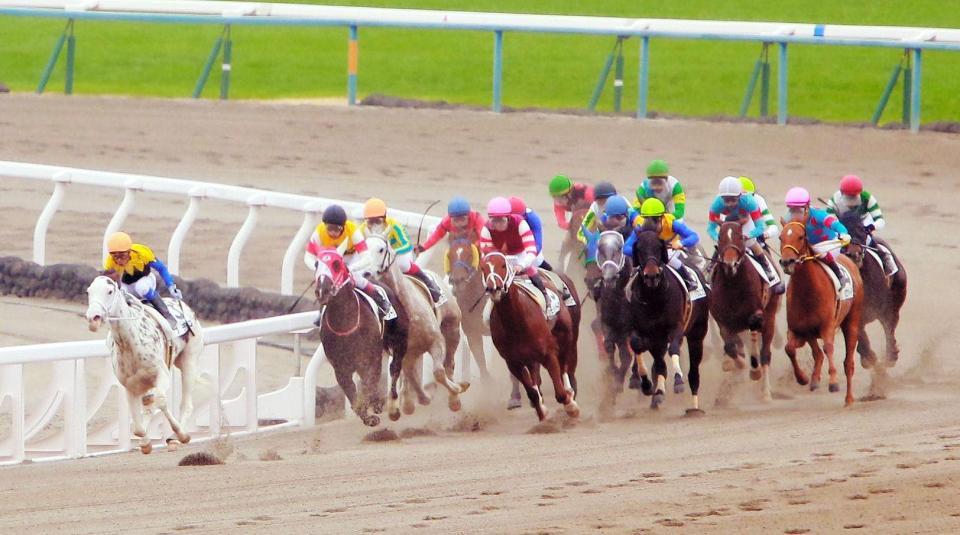 ひとまくりで勝負を決めるブチコ（左端）＝京都競馬場（撮影・石湯恒介）