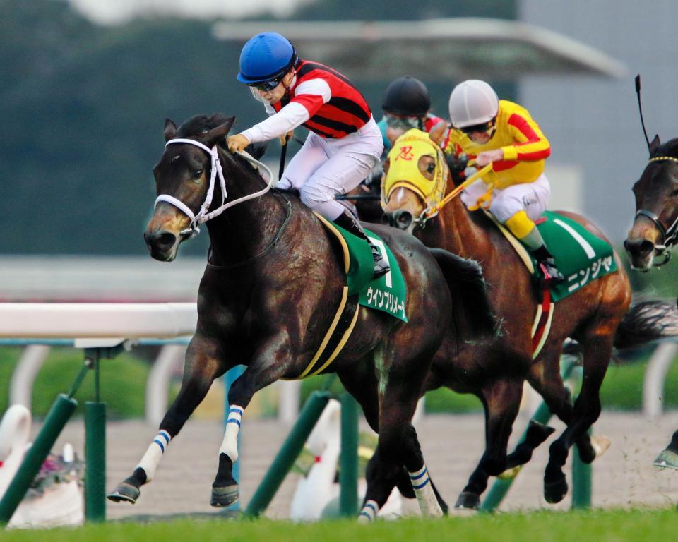 川田のアクションに応え抜けだすウインプリメーラ＝京都競馬場（撮影・石湯恒介）