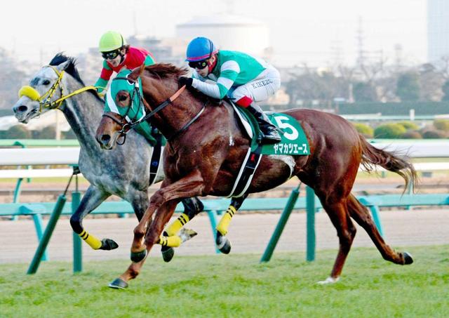 【中山金杯】エースが文句なしの快勝