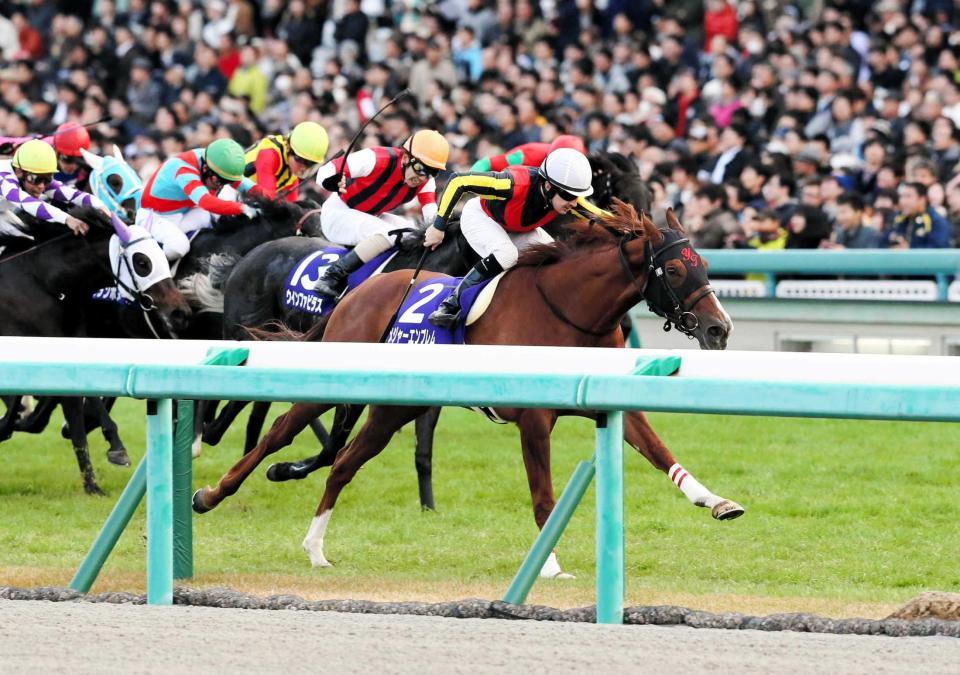 　新馬、アスター賞と連勝を決めたメジャーエンブレム