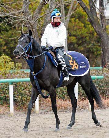 　仕上がりの良さが目を引く血統馬パブロ