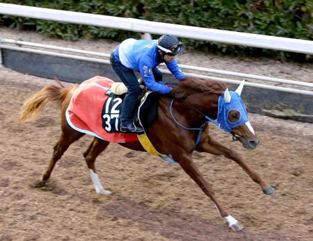 　池添親子の２週重賞連続Ｖがかかるツーエムレジェンドは栗東坂路で鋭い動き