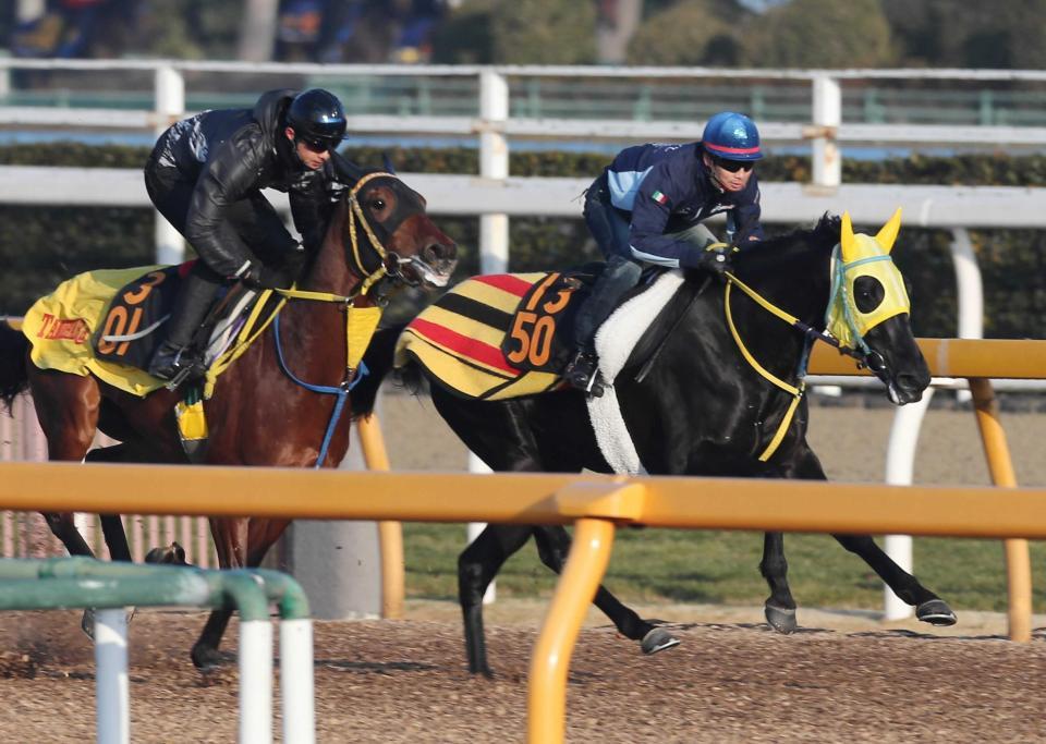 　武士沢を背に美浦Ｗの併せ馬で追われたラブリーアモン（右）