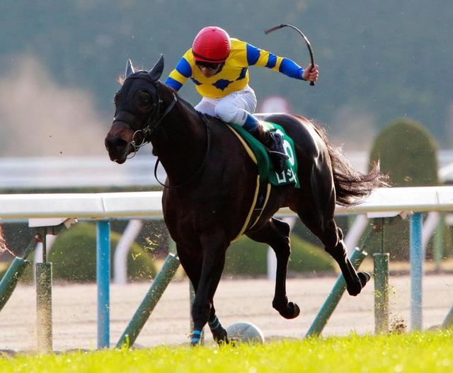 【シンザン記念】浜中ロジクライＶ