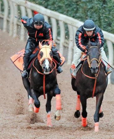 　ナムラシングン（左）は栗東坂路で迫力満点の動きを披露