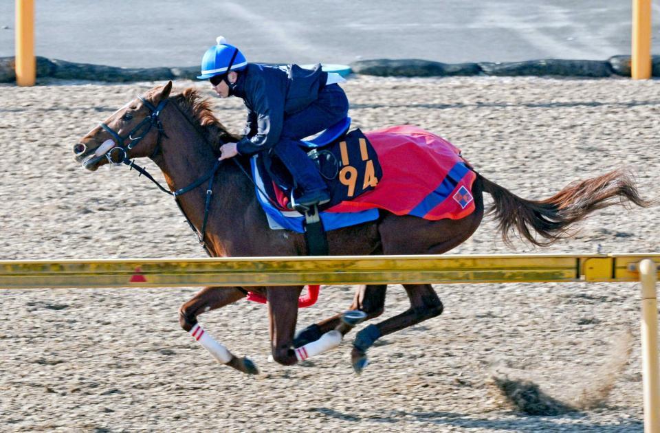 　柴田大を背に美浦Ｗで追われたマイネルラフレシア