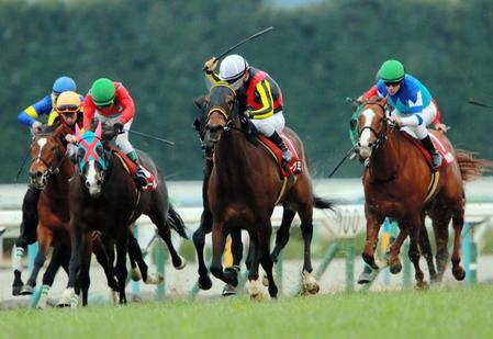 大外から突き抜けるレーヴミストラル（中央）＝京都競馬場（撮影・石湯恒介）