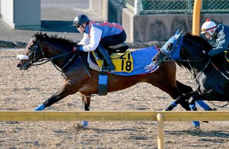 　美浦Ｗの併せ馬でロワジャルダン（左）は余力十分に先着した