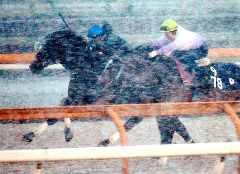 　岩田を背に栗東ＣＷを駆けるローマンレジェンド（左）