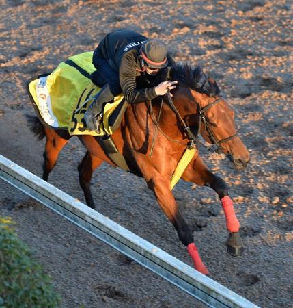 　美浦坂路で上々の動きを見せたディサイファ