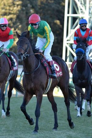 　１番人気も１０着に敗れたサトノラーゼン