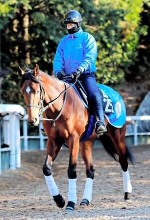 　無傷３連勝で登竜門突破を狙うサトノダイヤモンド