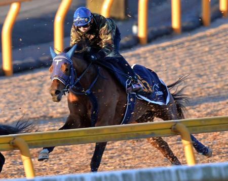 　３頭併せ馬最先着のハートレー