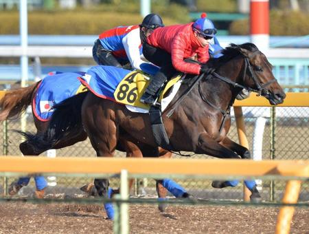　美浦Ｗで半馬身先着したグランシルク（手前）