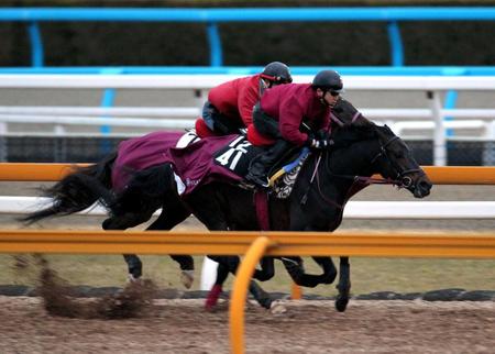 　栗東ＣＷで好調ぶりを示したロイカバード（手前）