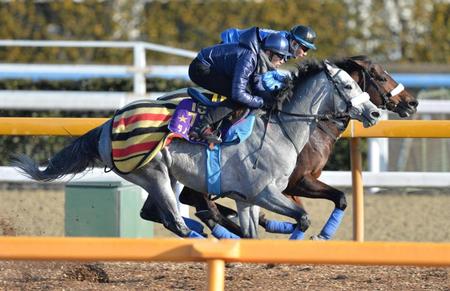 　美浦Ｗで併せ馬を敢行したダノンプラチナ（手前）