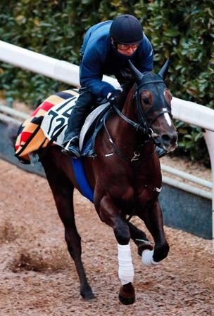 　栗東坂路で迫力のある動きを見せたダッシングブレイズ