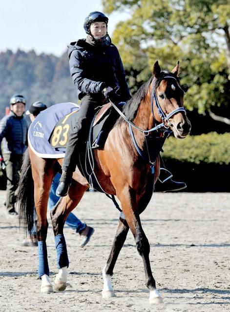 【共同通信杯】ハートレー重賞連勝へ