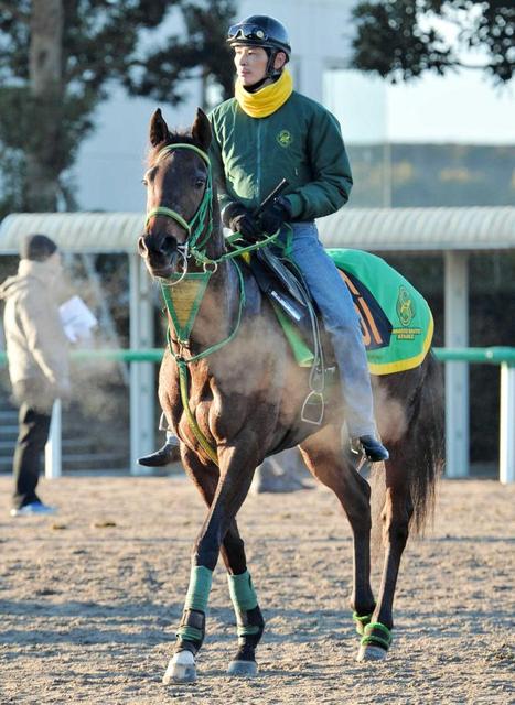 【クイーンＣ】マリーン名誉挽回星だ