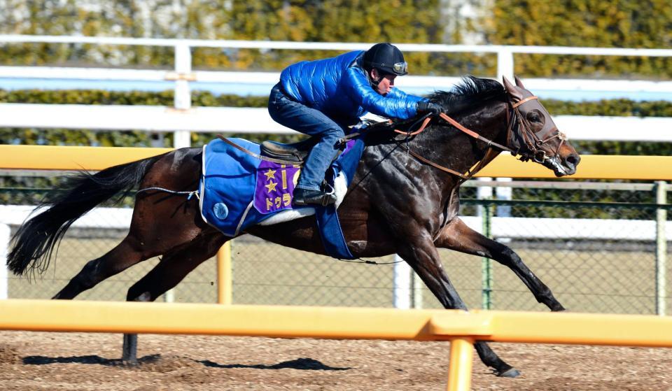 【中山記念】ドゥラメンテに陣営慎重/競馬・レース/デイリー ...