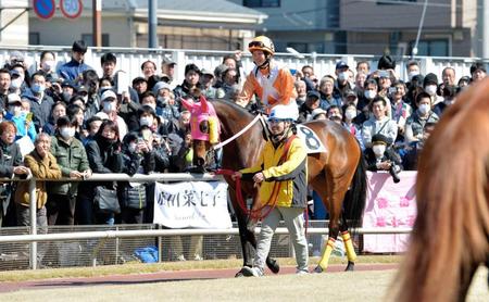 　ファンが注目する前で工藤師特製メンコを着用したコンバットダイヤに騎乗する藤田菜七子