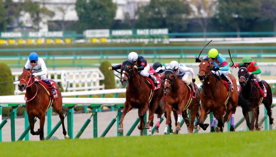 　逃げたキャンディバローズ（左）をとらえにかかるソルヴェイグ（左から２頭目）