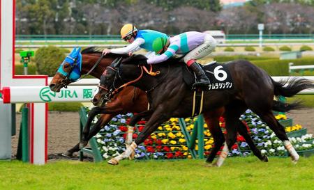 　先に動いたアドマイヤダイオウ（奥）がナムラシングンの猛追をハナ差でしのぐ