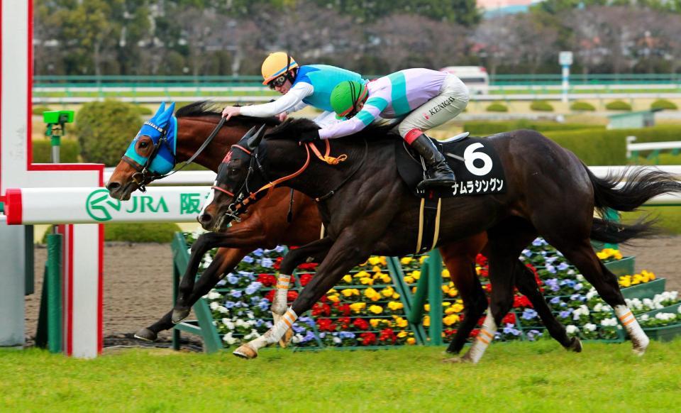 　先に動いたアドマイヤダイオウ（奥）がナムラシングンの猛追をハナ差でしのぐ