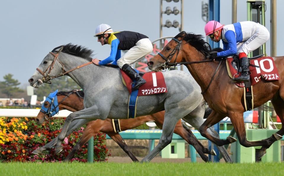 ノーザンファームの現３歳世代の快進撃 競馬 レース デイリースポーツ Online