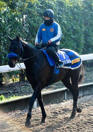 悲願のＧ１制覇を狙うサクラゴスペル