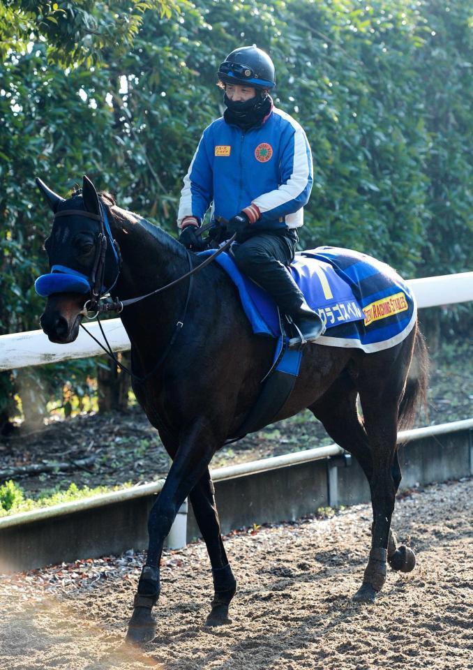 悲願のＧ１制覇を狙うサクラゴスペル