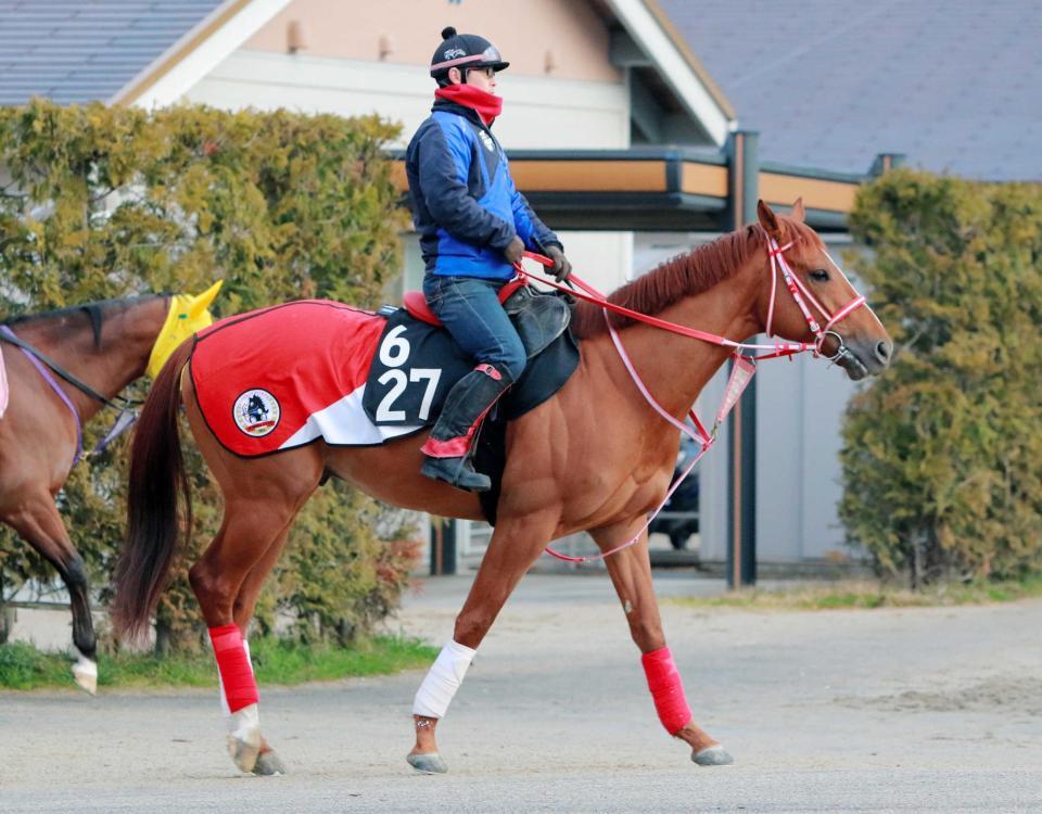 皐月賞出走を目指すタイセイサミット